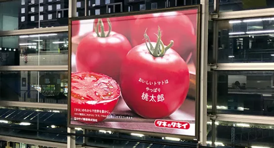ホーム風防壁 パネル