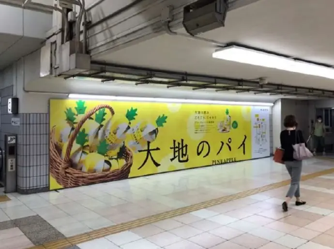 事例写真5